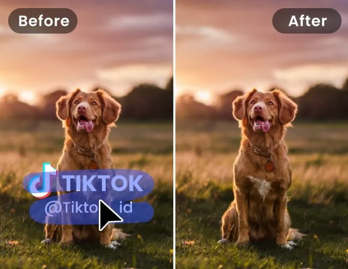 AI Video Watermark Remover