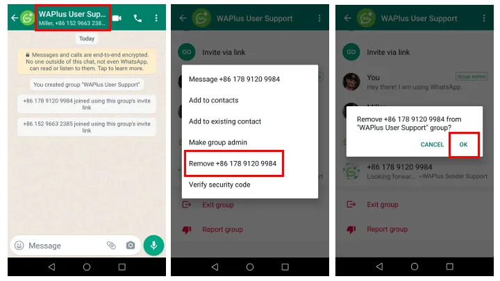 Delete someone from a WhatsApp group